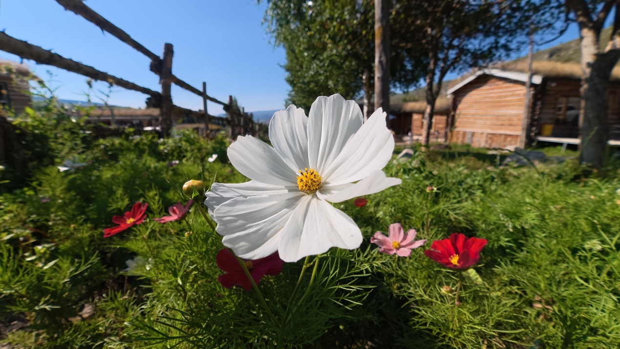 大疆发布Osmo Action 6运动相机，搭载可变光圈及1/1.1英寸方形传感器插图3