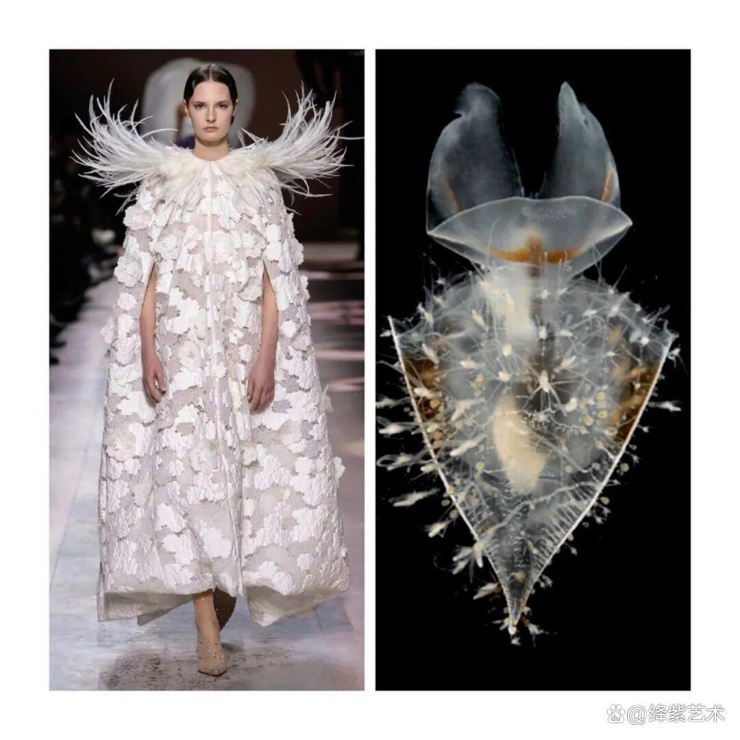 叹为观止！这20个创意服装，原型竟然是虫子、蜥蜴和蘑菇插图16