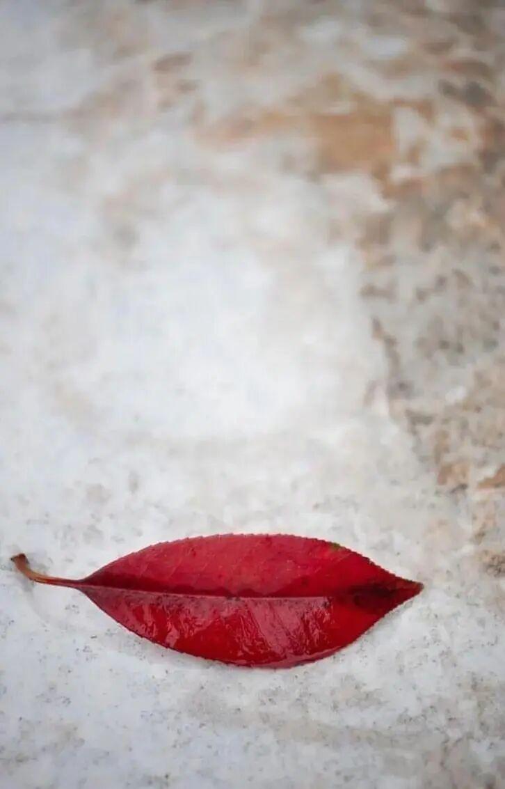 太巧了吧！20张现实中的“神级错位”，完全没修图却像特效插图19