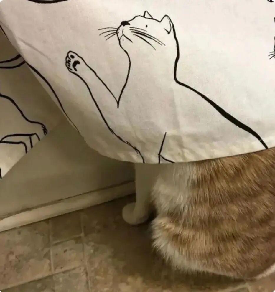 太巧了吧！20张现实中的“神级错位”，完全没修图却像特效插图7