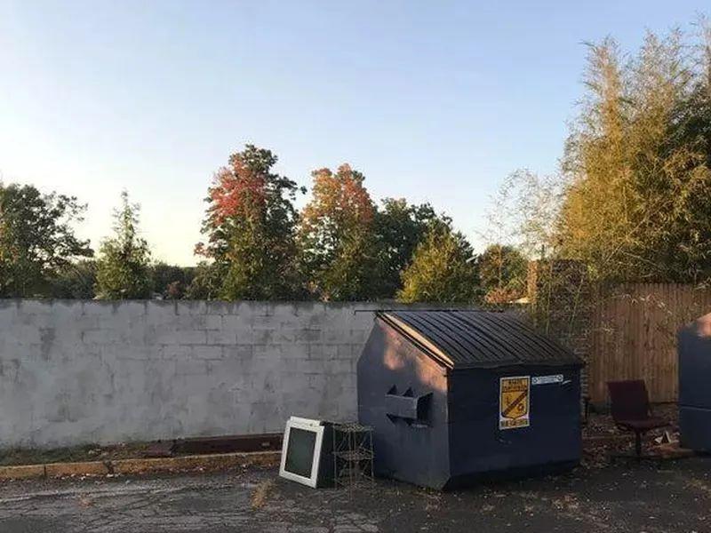 动物伪装大挑战：考验你的眼力，你找对几个？插图22