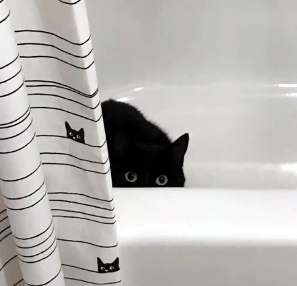 20张巧得离谱的照片：生活这导演，真是会安排插图15