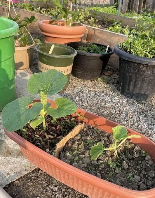 毫不留情的现实：21组对比照，看完你就懂什么叫“差距”插图16