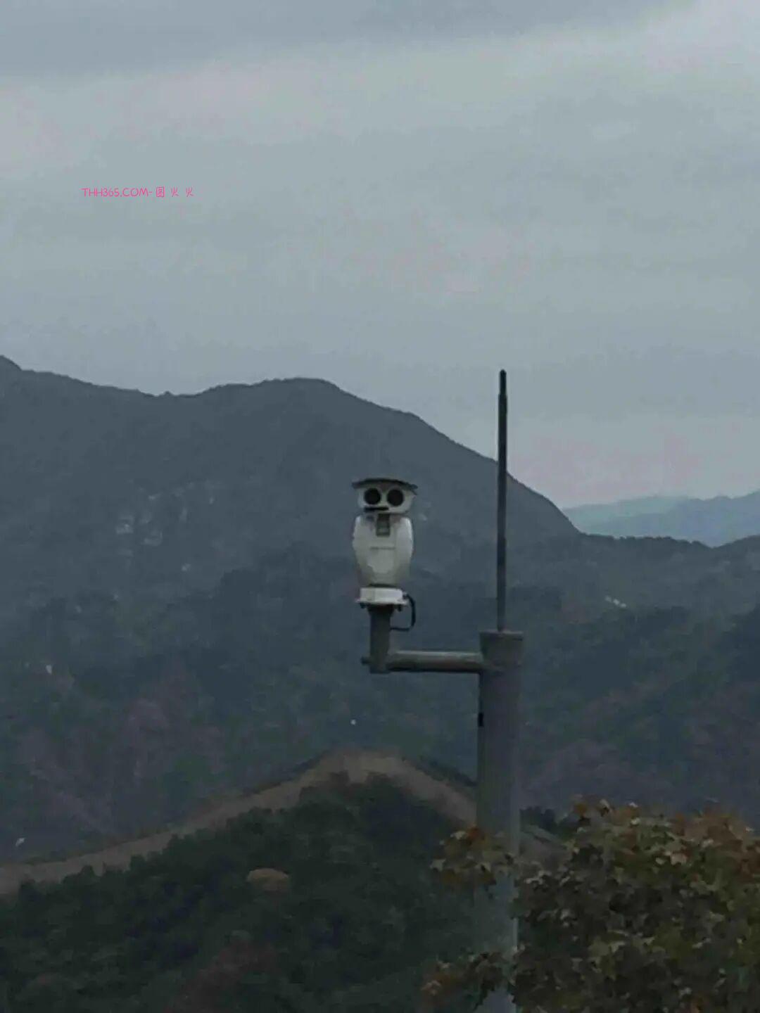 巧合界的天花板：20张照片太离谱，现实都编不出这样的剧本插图13