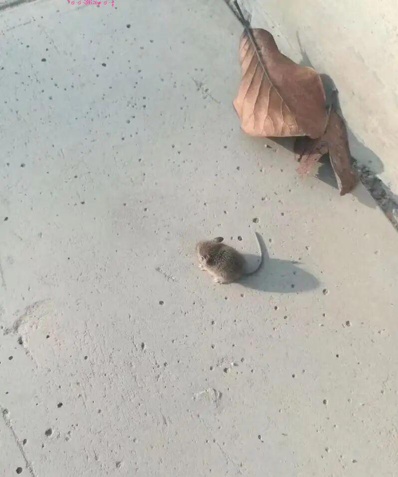 毫不留情的现实：21组对比照，看完你就懂什么叫“差距”插图17