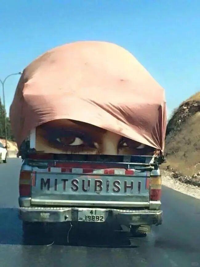 20张巧得离谱的照片：生活这导演，真是会安排插图4