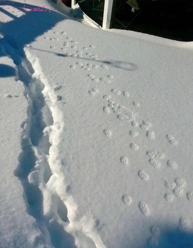 毫不留情的现实：21组对比照，看完你就懂什么叫“差距”插图3