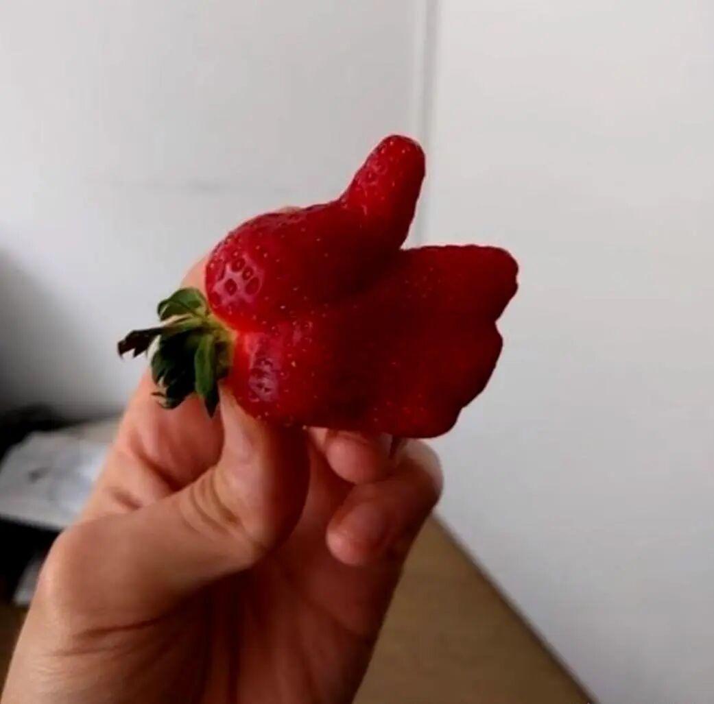 20张巧得离谱的照片：生活这导演，真是会安排插图2