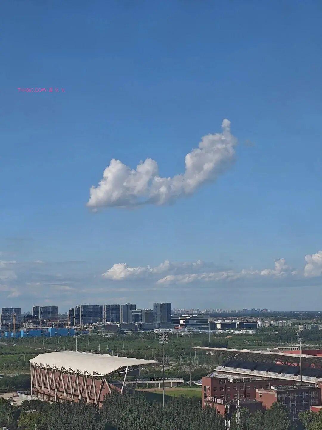 巧合界的天花板：20张照片太离谱，现实都编不出这样的剧本插图1