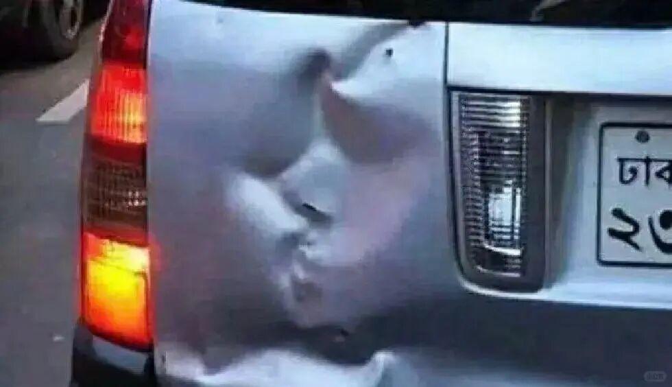 20张巧得离谱的照片：生活这导演，真是会安排插图17