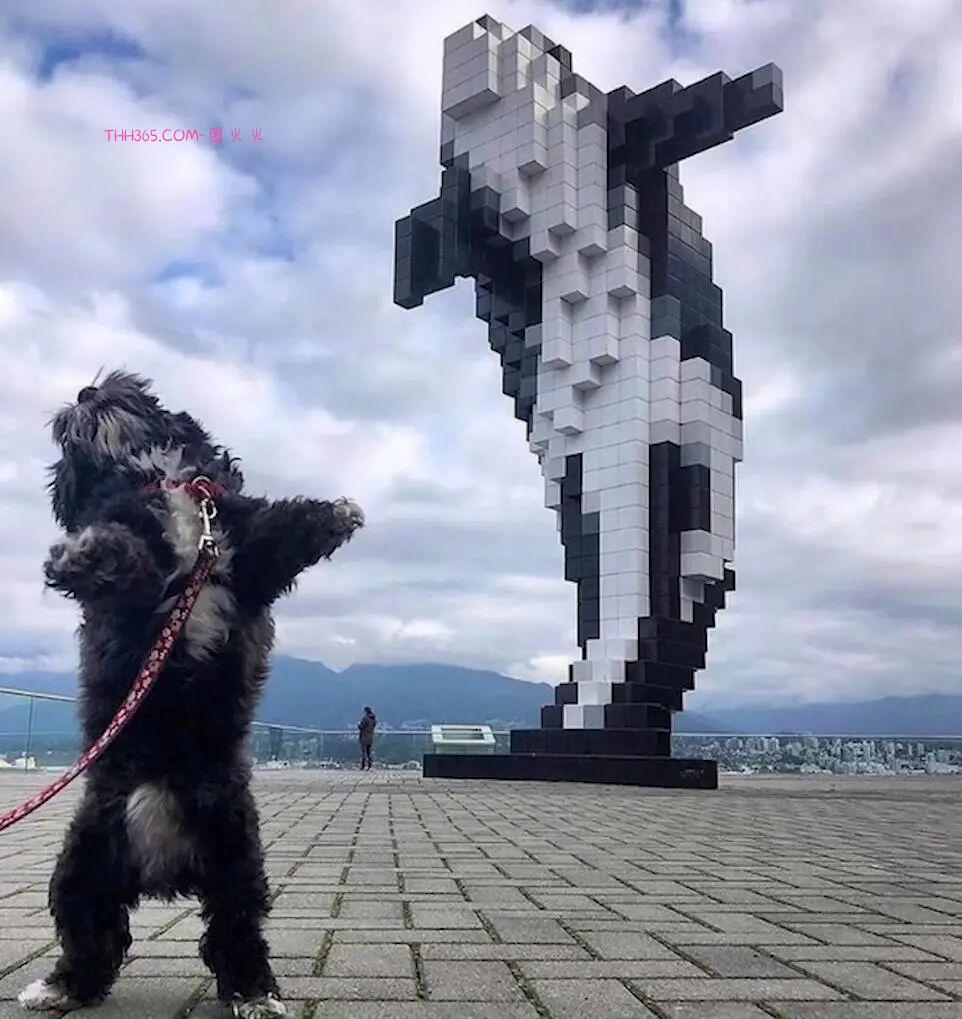 巧合界的天花板：20张照片太离谱，现实都编不出这样的剧本插图5