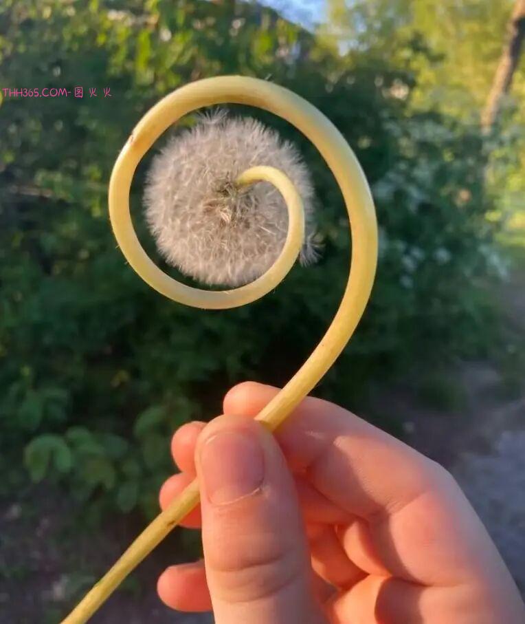 巧合界的天花板：20张照片太离谱，现实都编不出这样的剧本插图2