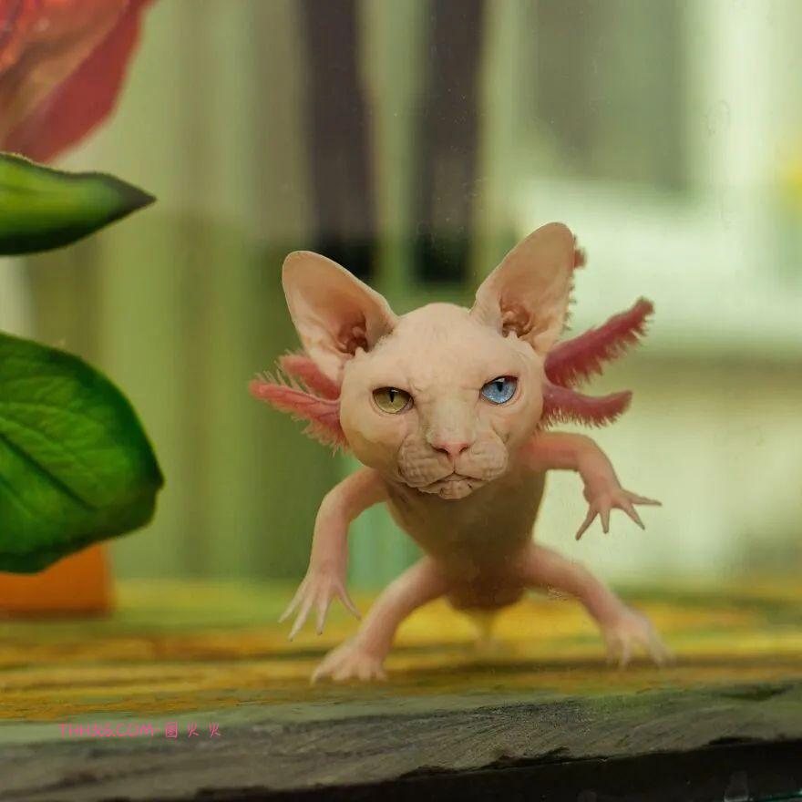 太有趣了！16幅异想天开的混搭动物，越看越有意思插图11