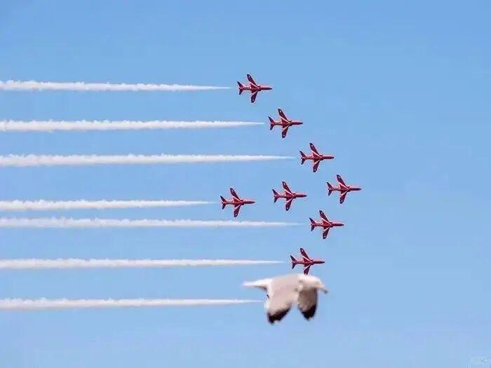 20张巧得离谱的照片：生活这导演，真是会安排插图6