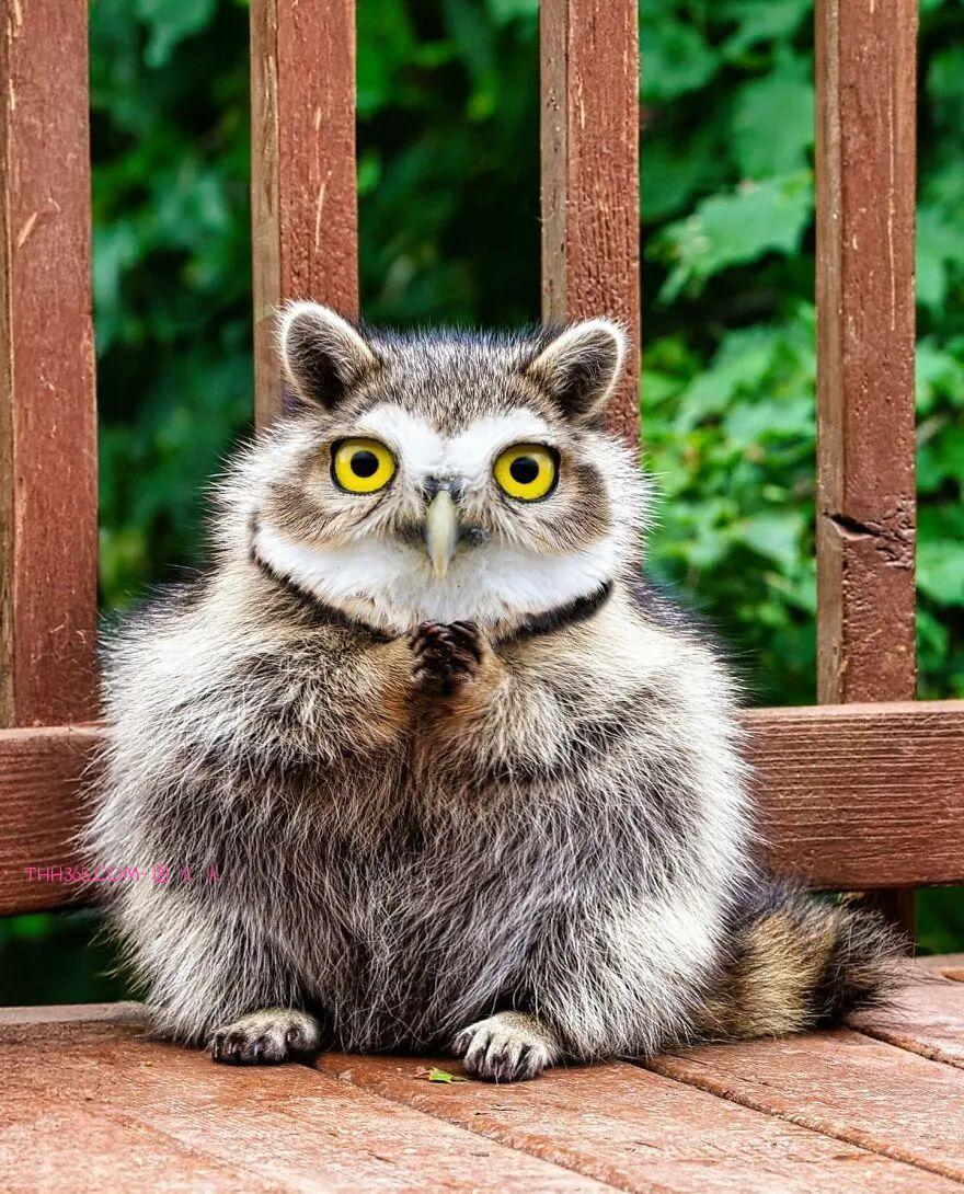 太有趣了！16幅异想天开的混搭动物，越看越有意思插图9