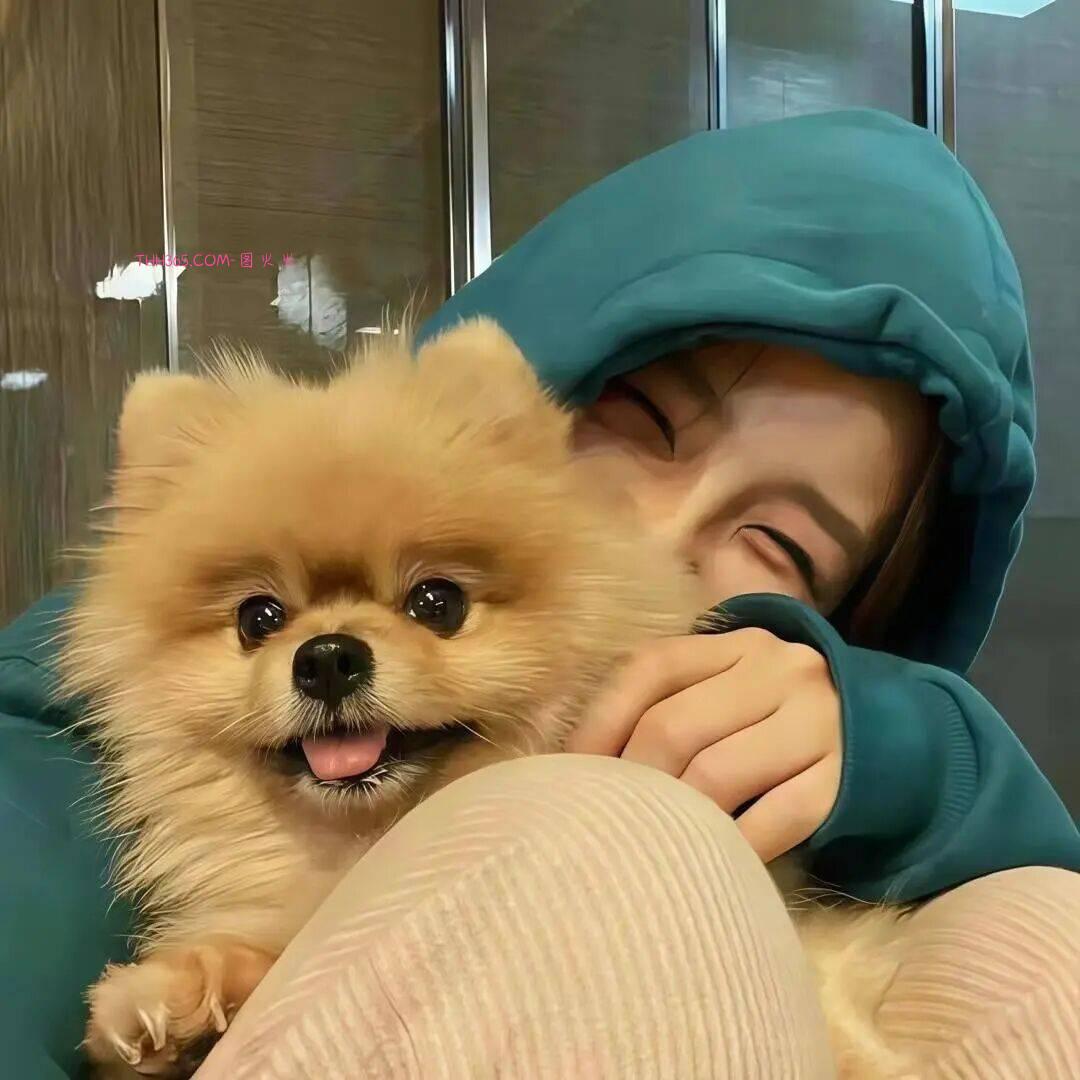 哈哈哈，一秒笑趴下的最新笑话，笑到让你停不下来插图2