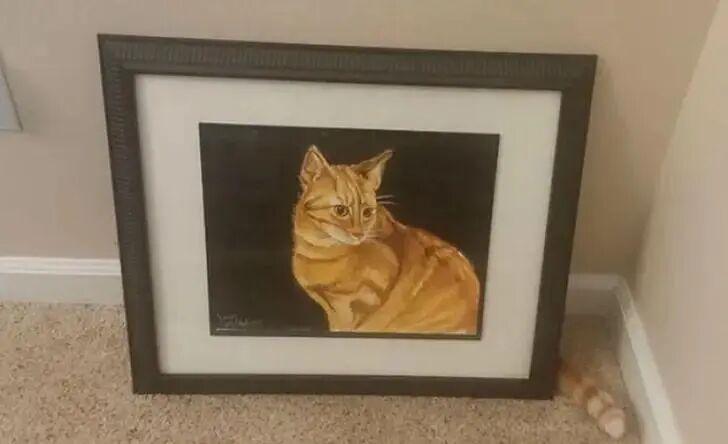 20张巧得离谱的照片：生活这导演，真是会安排插图5