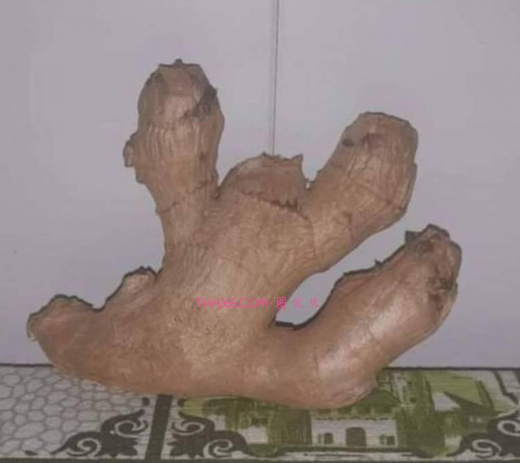 今日趣图：奥纳纳机票不慎脱手无法登机，租借土超交易取消！插图16