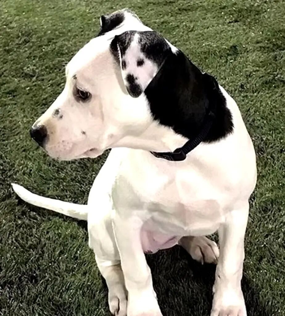 20张巧得离谱的照片：生活这导演，真是会安排插图16