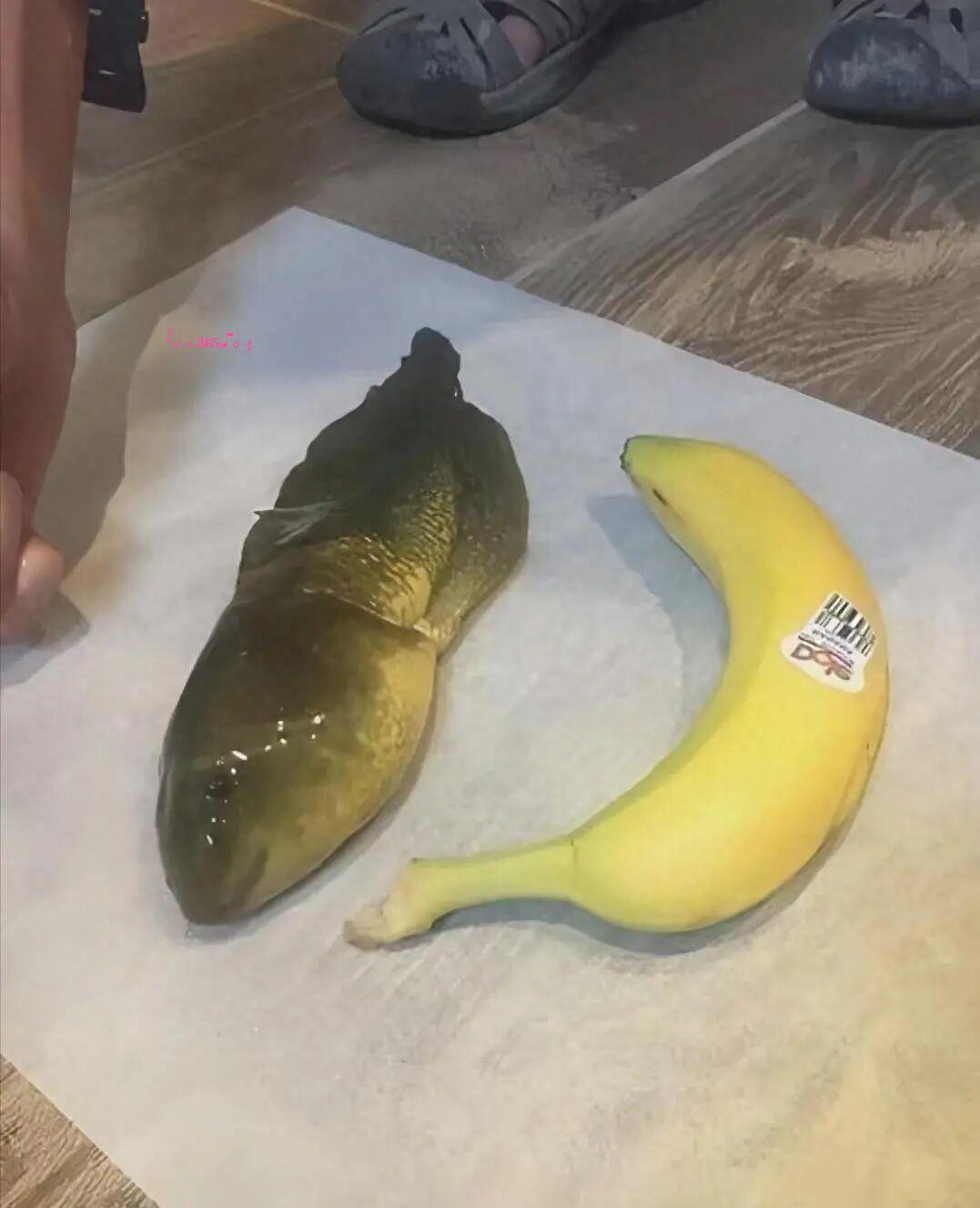 毫不留情的现实：21组对比照，看完你就懂什么叫“差距”插图15