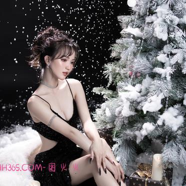 圣诞写真小样插图2