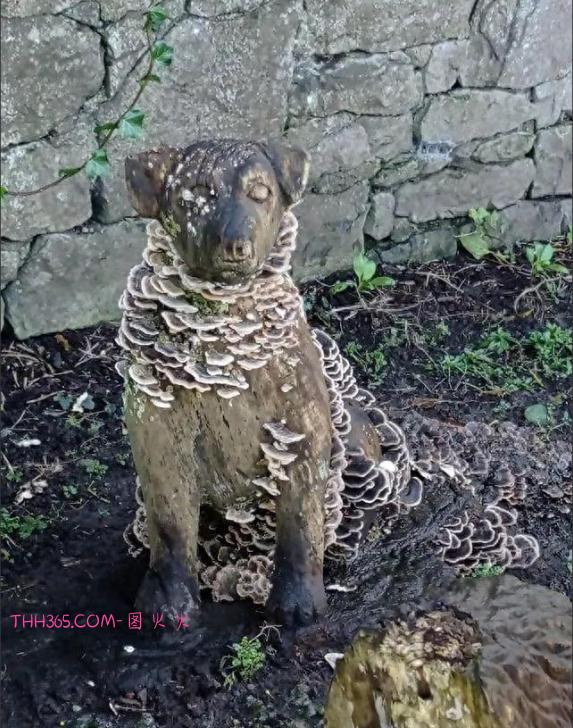 20张让你“看到”时间的照片:每一张都在诉说着“岁月真的会留下痕迹”插图9 20张让你“看到”时间的照片:每一张都在诉说着“岁月真的会留下痕迹”插图9