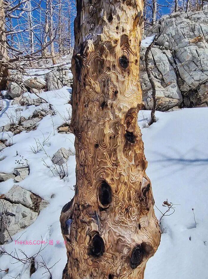 30张让人又敬畏又害怕的自然瞬间：风暴、火山、闪电，全是地球的“怒吼”插图9