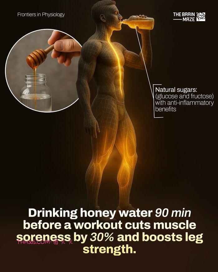 身体这台机器，比你想的聪明又脆弱：10个科学揭开的健康真相插图8