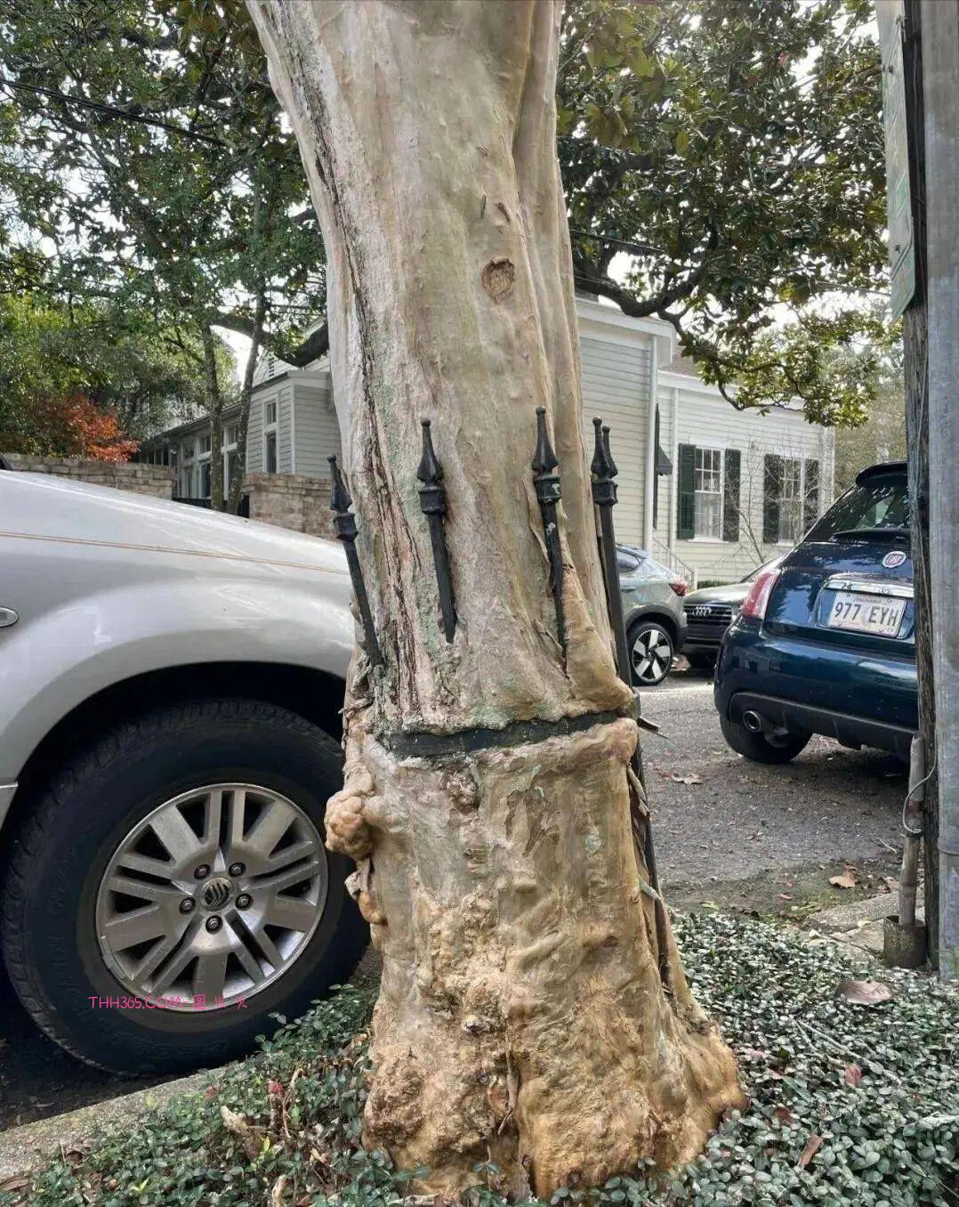 20张让你“看到”时间的照片:每一张都在诉说着“岁月真的会留下痕迹”插图11 20张让你“看到”时间的照片:每一张都在诉说着“岁月真的会留下痕迹”插图11