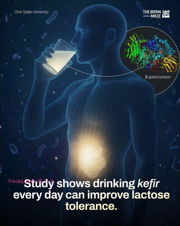 身体这台机器，比你想的聪明又脆弱：10个科学揭开的健康真相插图6