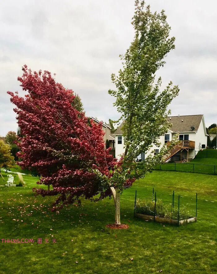30张让人又敬畏又害怕的自然瞬间：风暴、火山、闪电，全是地球的“怒吼”插图8