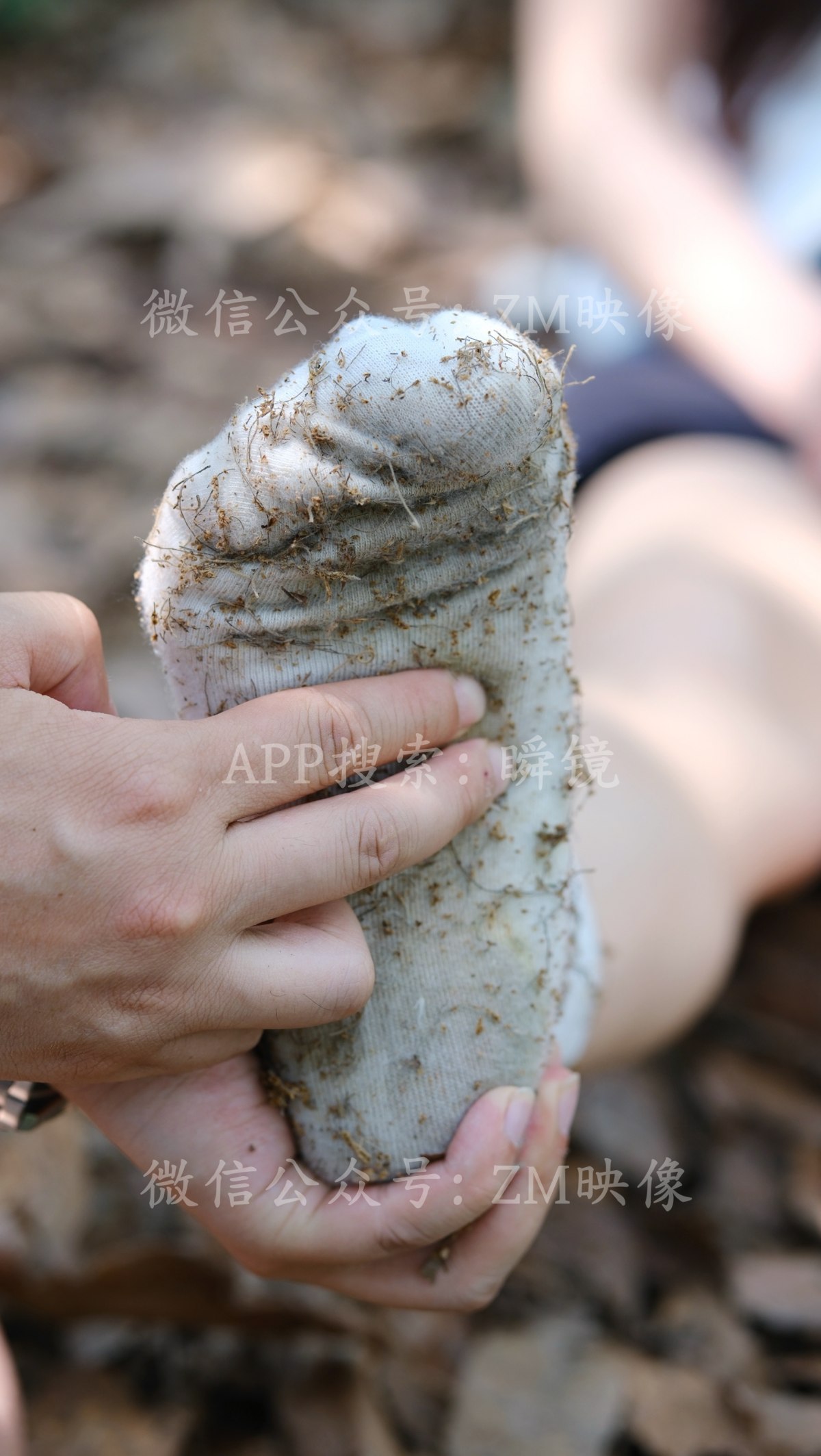 织梦映像 越过山丘-平芜尽处是春山 典藏版+短肉版 [673P/2V/9G]插图19