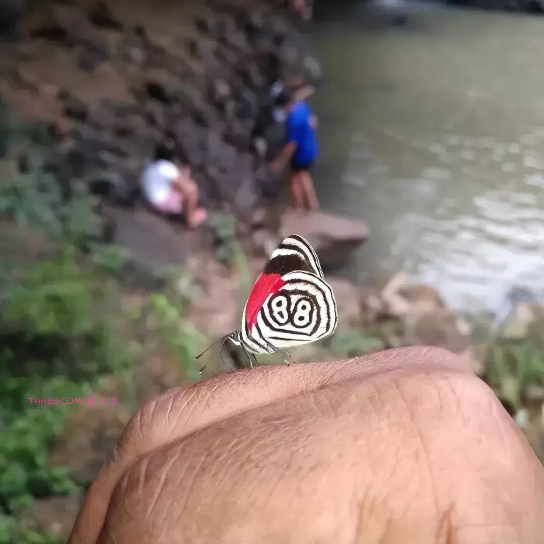 谁说生活无聊？24个治愈细节曝光！插图21