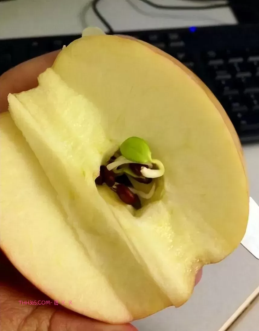 谁说生活无聊？24个治愈细节曝光！插图20