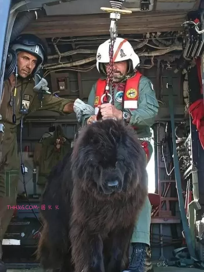 18个不可思议的事实：这个世界，比你以为的还精彩插图2