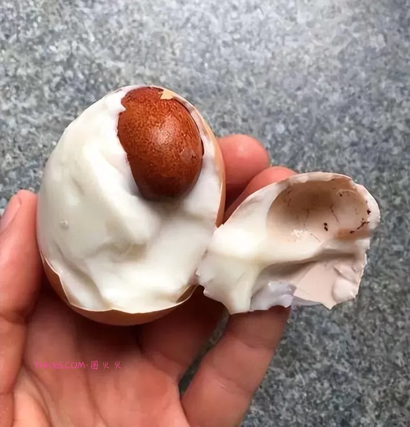 谁说生活无聊？24个治愈细节曝光！插图19