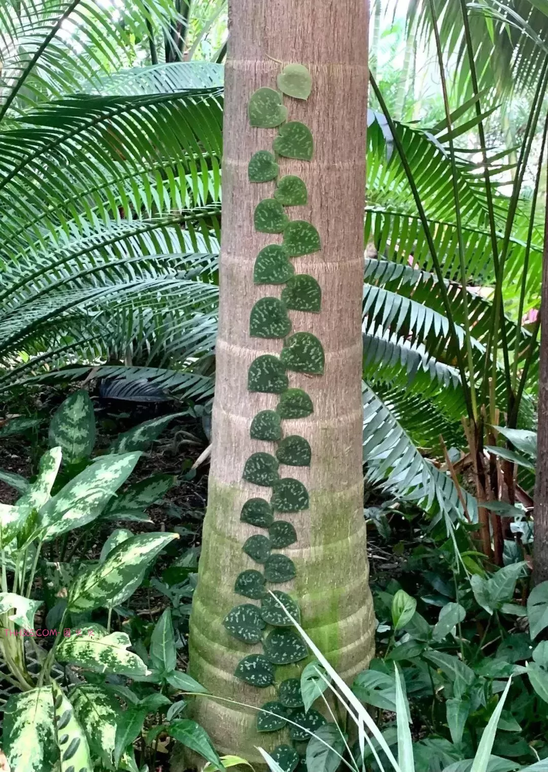 谁说生活无聊？24个治愈细节曝光！插图5