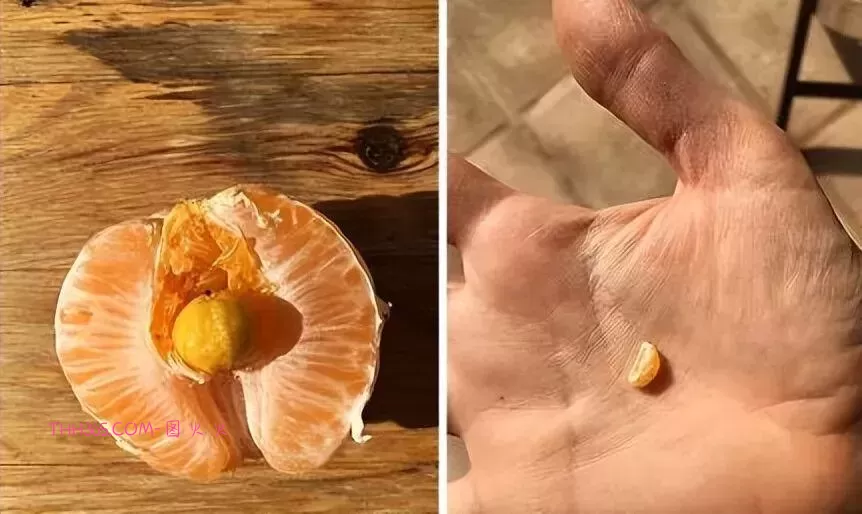 谁说生活无聊？24个治愈细节曝光！插图13