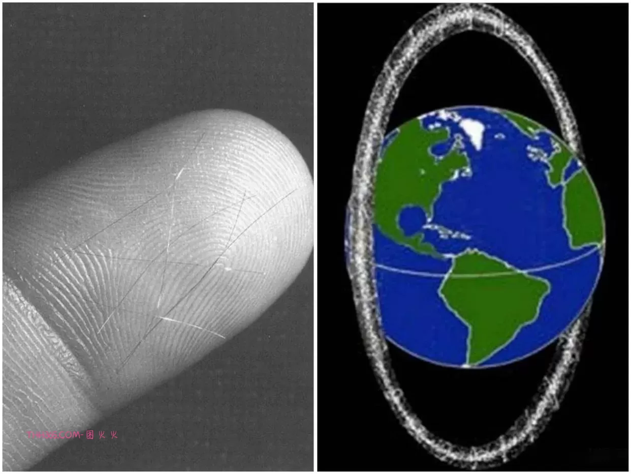 刷新认知的14件真事：是真的，不是段子！插图