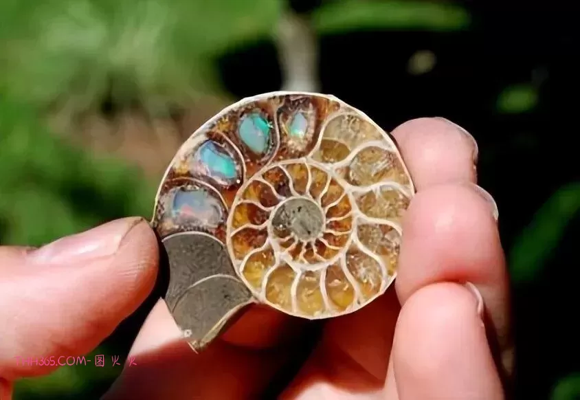 谁说生活无聊？24个治愈细节曝光！插图15