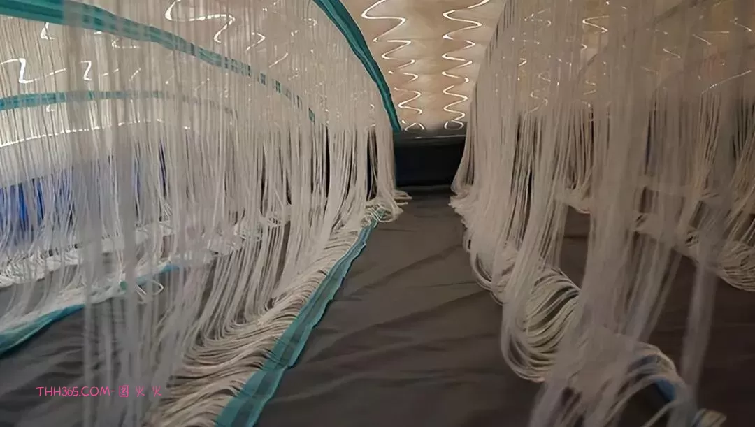 万万没想到！18个看起来普通的东西，里面居然藏着这些秘密！插图4