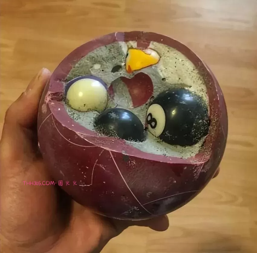 谁说生活无聊？24个治愈细节曝光！插图18