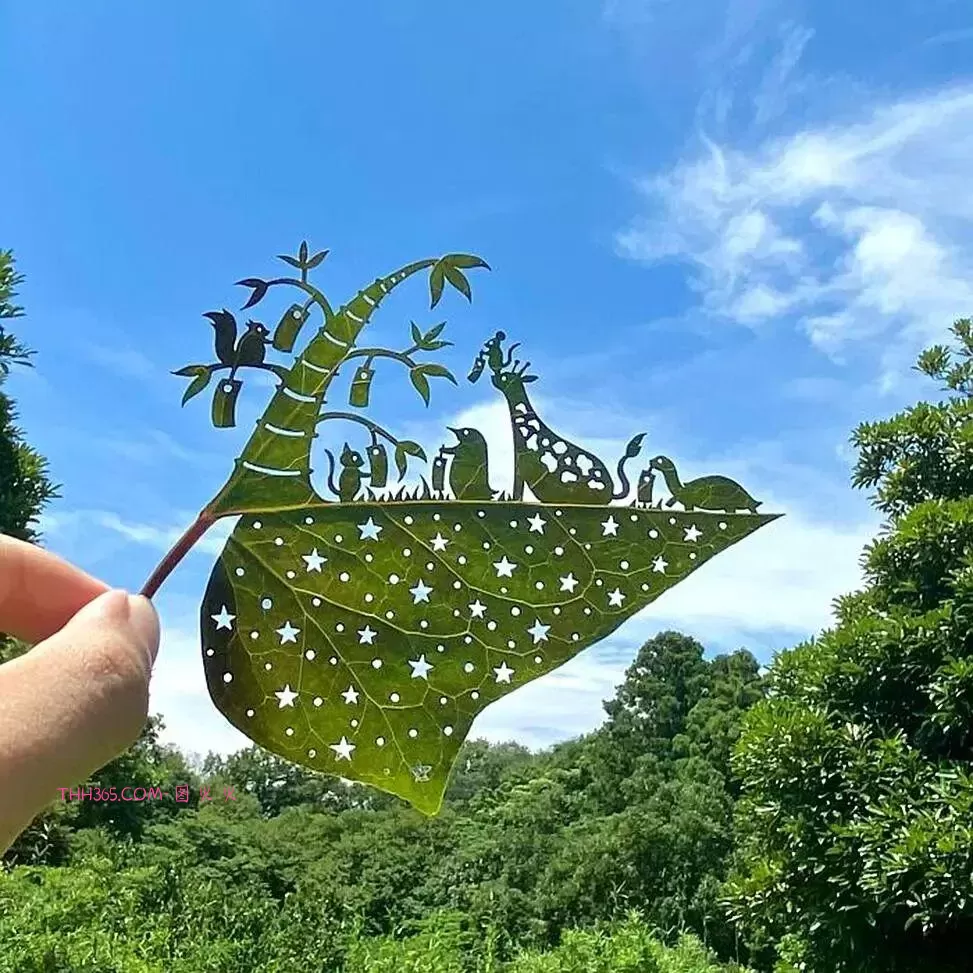 谁说生活无聊？24个治愈细节曝光！插图10