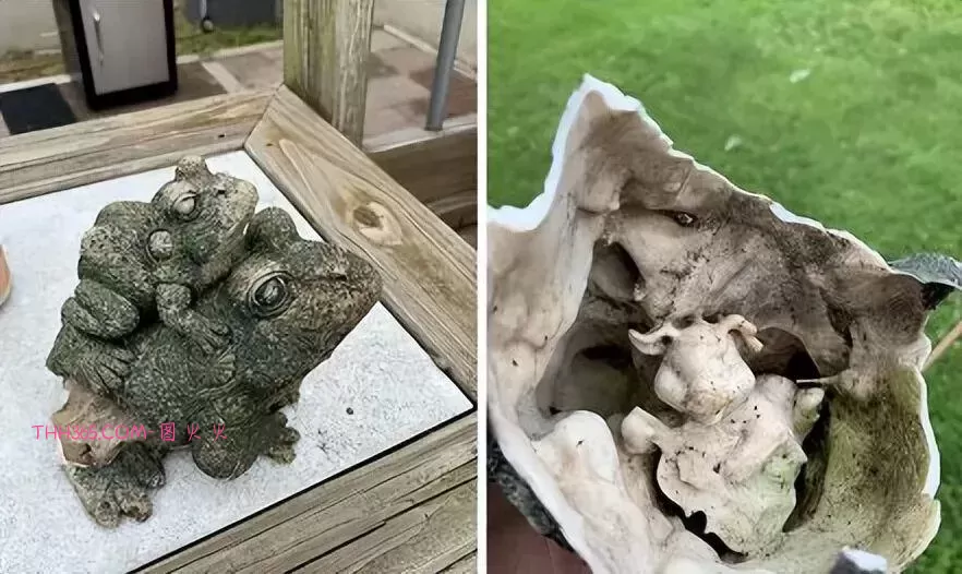 谁说生活无聊？24个治愈细节曝光！插图16