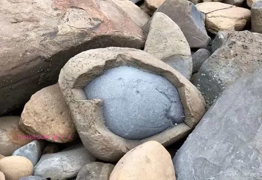 谁说生活无聊？24个治愈细节曝光！插图17