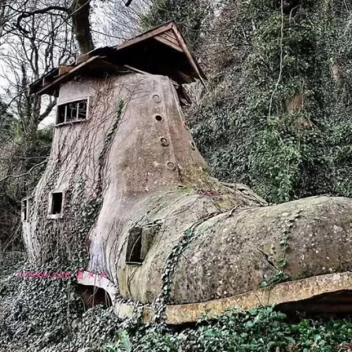 15个“看似没用但超有意思”的发现，刷新你对世界的认知插图9