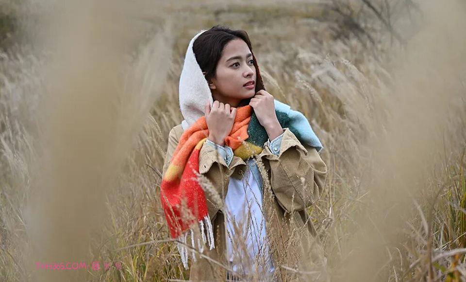 尼克尔 Z 24-105mm f/4-7.1正式发布插图1 尼克尔 Z 24-105mm f/4-7.1正式发布插图1