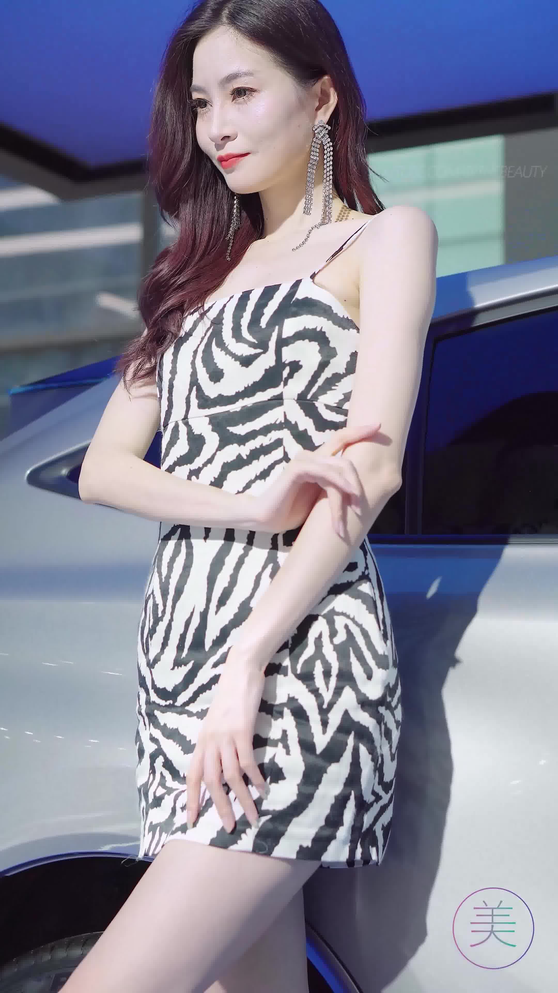 NO.1622 2023 深圳大湾区车展 Racing Model TOYOTA车模06[1V/287MB]插图1