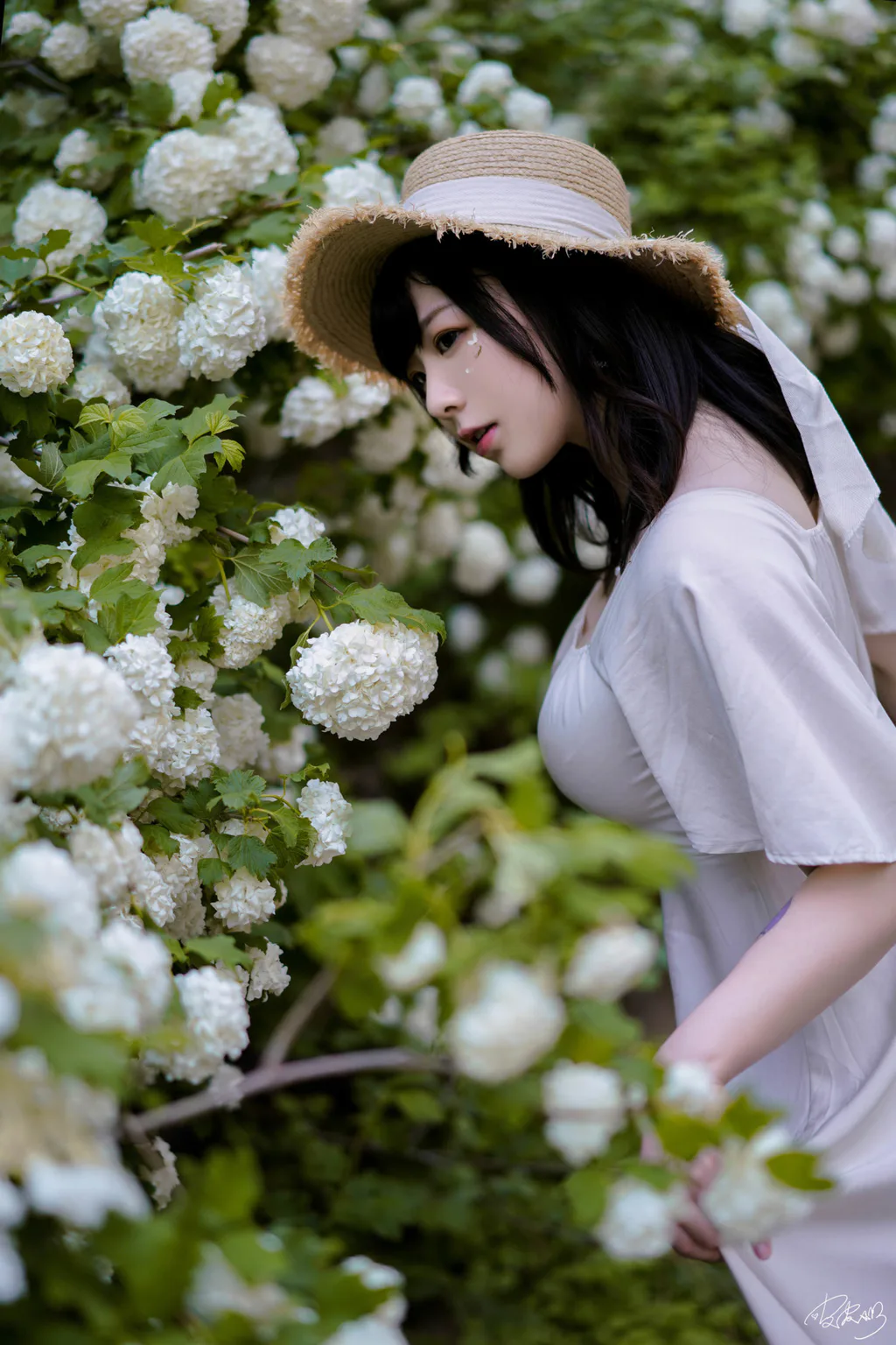 皮皮奶可可爱了啦 – 绣球花[36P/661MB]插图2