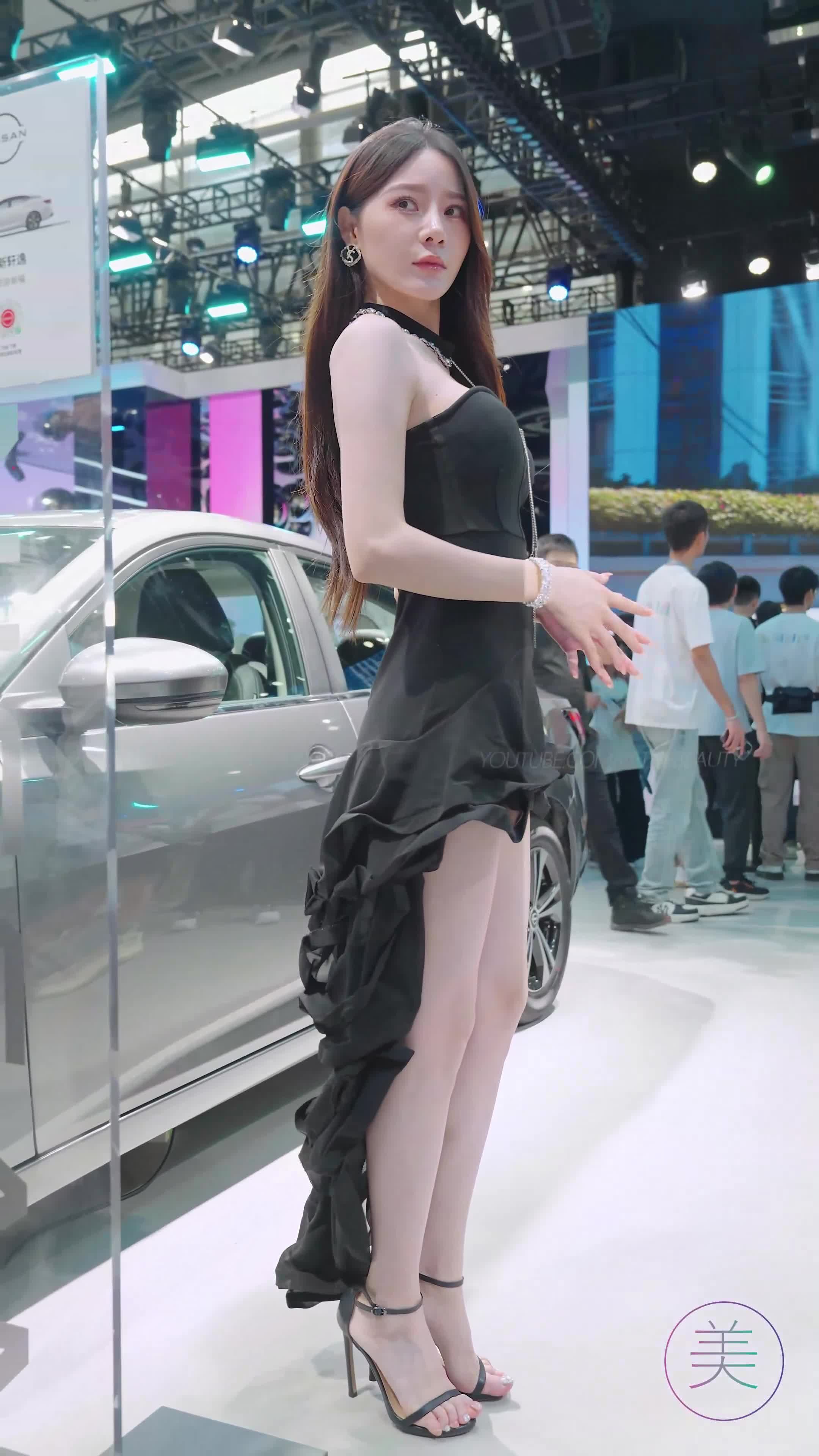 NO.1705 2024 广州车展 网荭镁钕车模 beautyleg LOOKBOOK 96[1V/372MB]插图1